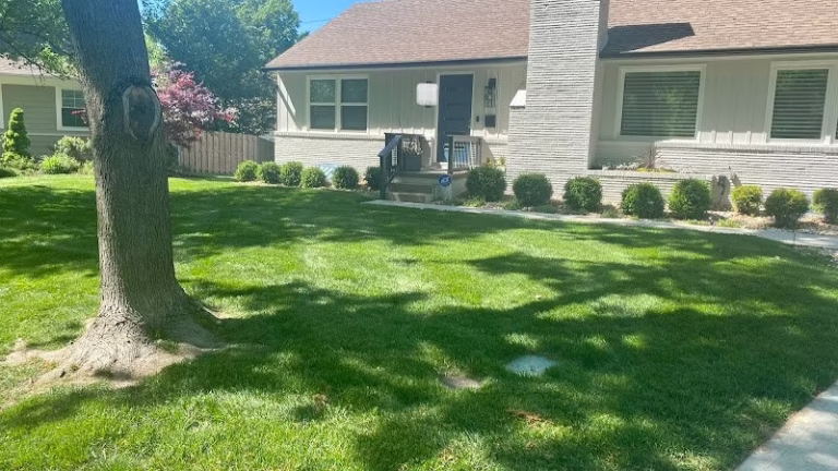 189958 ldk lawn services 768x432