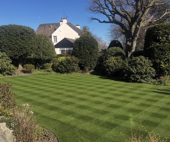 189986 essence lawn care