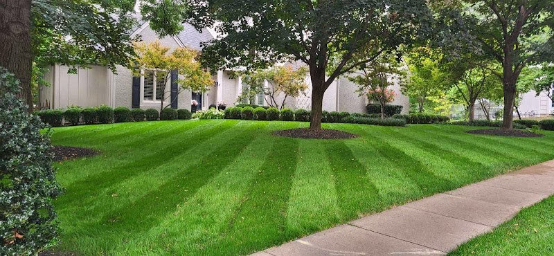 190017 aspen lawn pest control