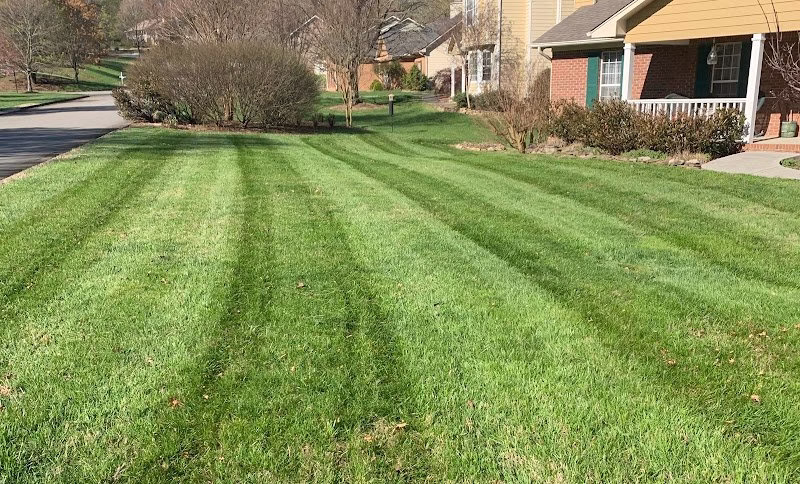 190042 st. john lawn care