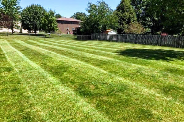 190081 crossroads cuts lawn care