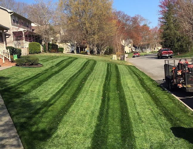 190091 precision lawn service