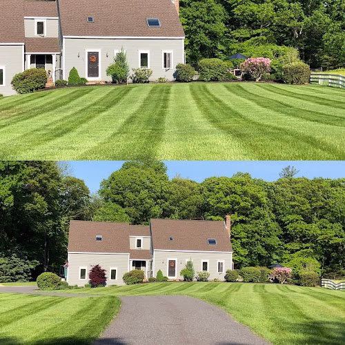 190164 white pines landscaping