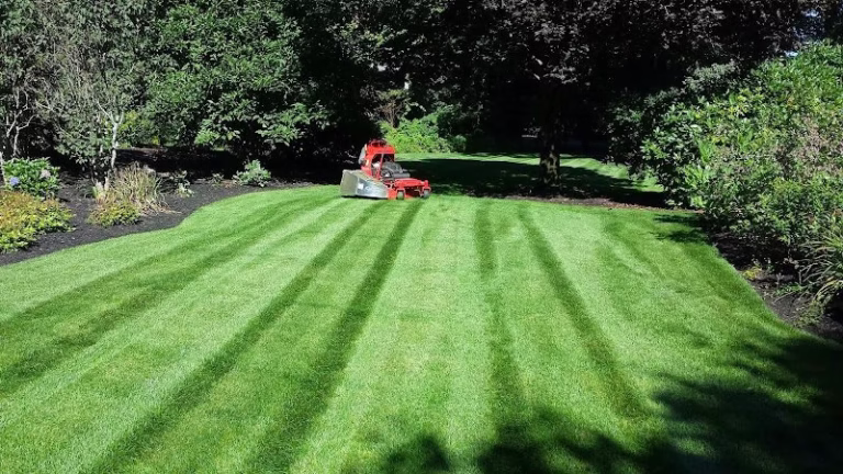 190197 m a property maintenance llc 768x432