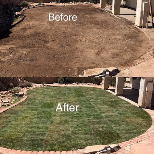 190207 ams landscaping