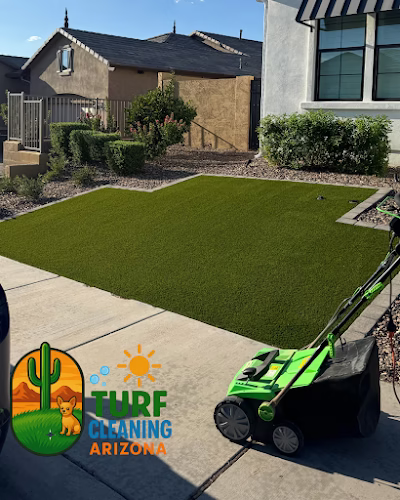 190211 turf cleaning arizona