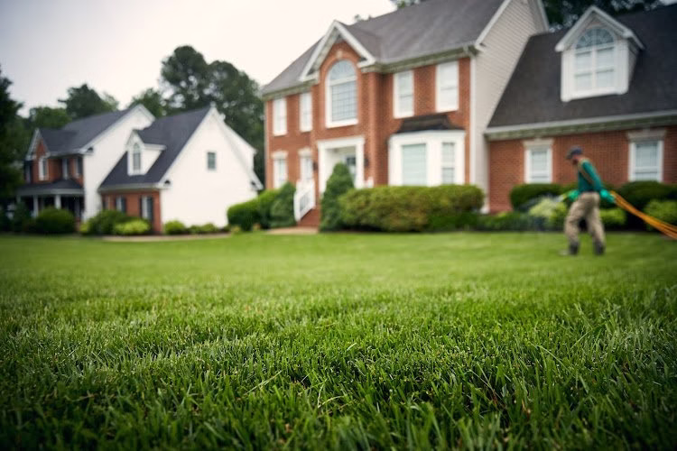 190282 virginia green lawn care