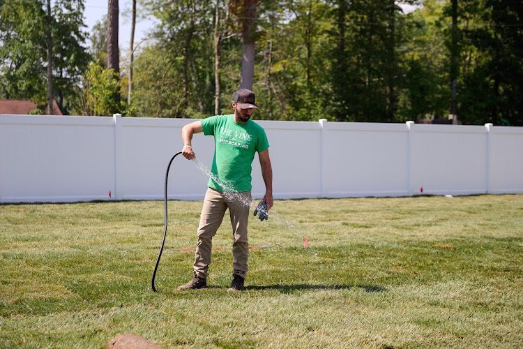 190315 the vine landscaping williamsburg