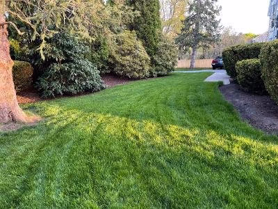 190425 lawn doctor of rhode island