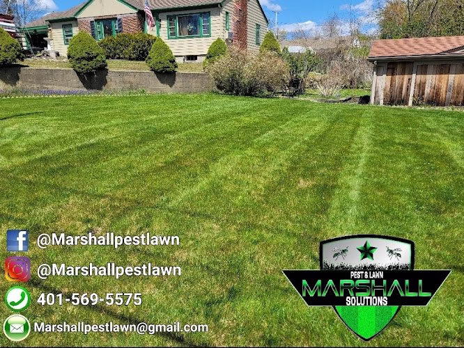 190493 marshall pest lawn solutions