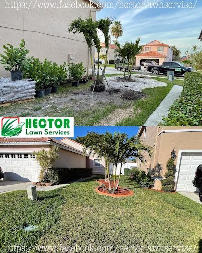 190499 hector ga lawn service and pressure clean