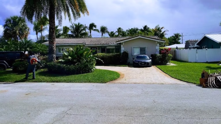 190511 palmer brothers tree service 768x432