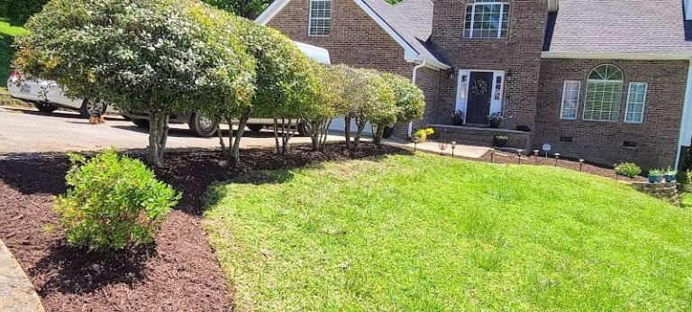 190578 green grounds solutions 768x346