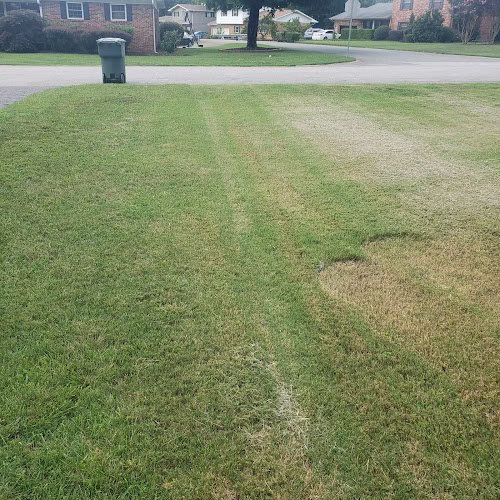 190586 quality lawn care landscaping