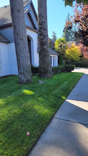 190669 lucky duck lawn care