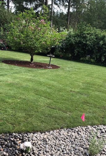 190695 solorios landscape llc