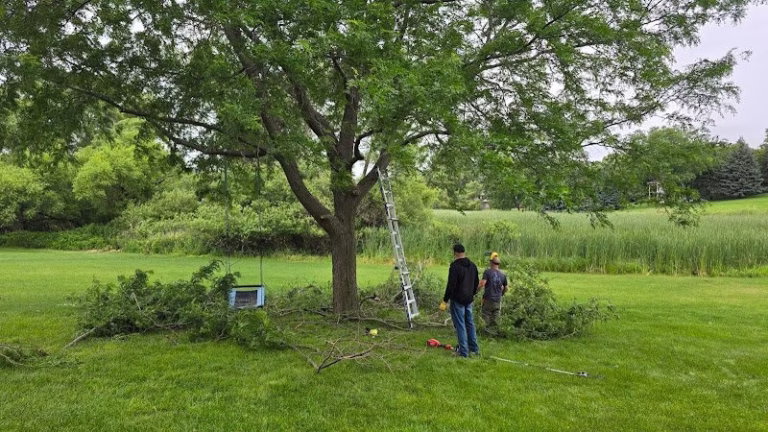 190749 immense services 768x432