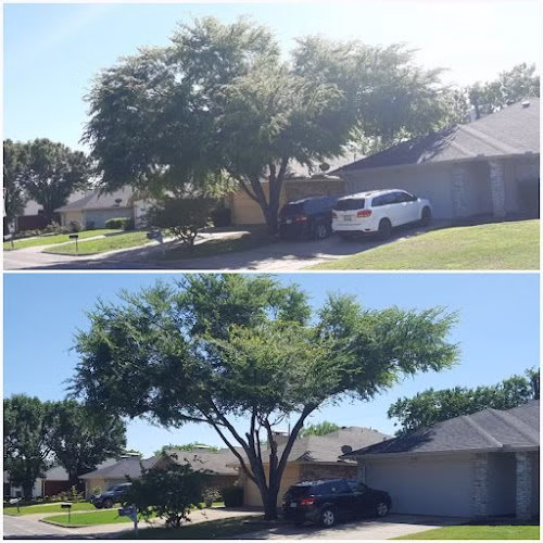 190838 hernandez sons lawns 1