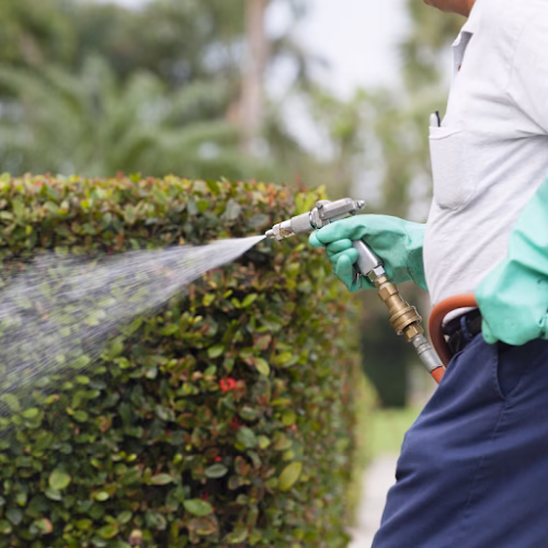 190844 barefoot mosquito pest control 8211 mckinney tx