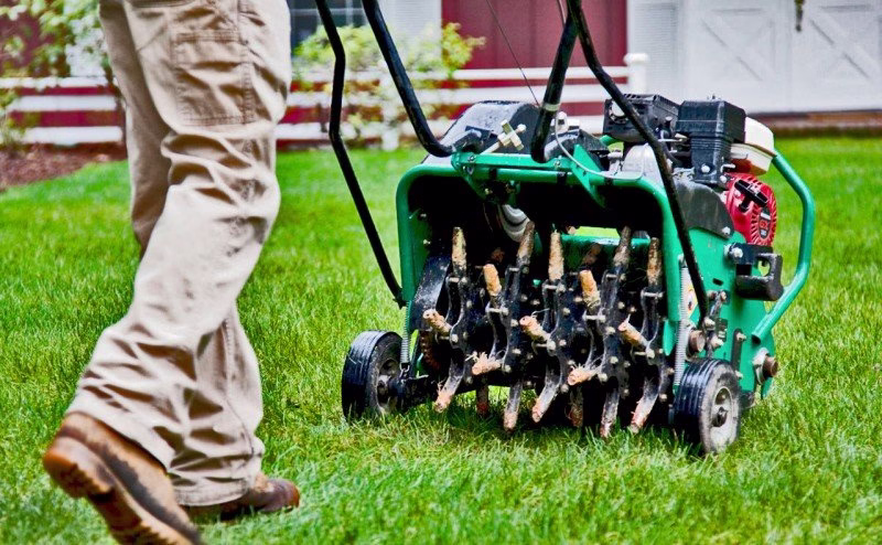 190846 elk grove lawn aeration