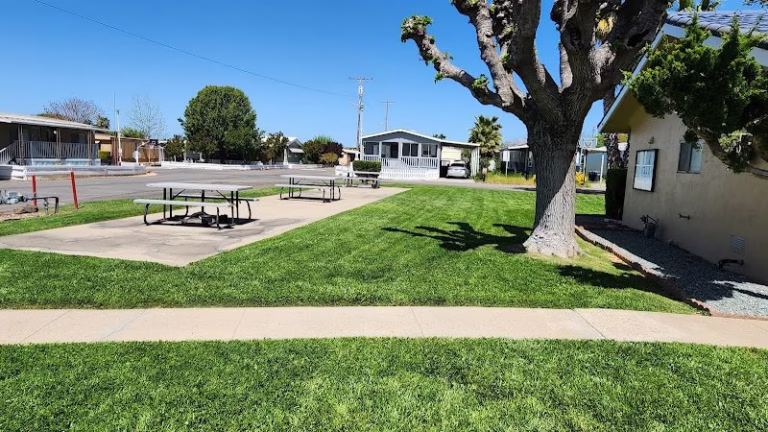 190859 blumbergs gardening service 768x432