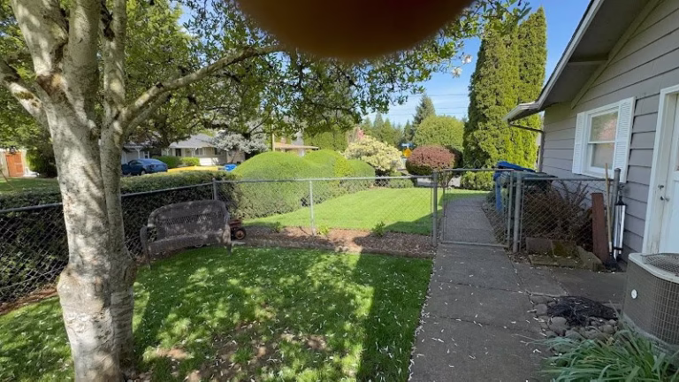 190919 minyons yard care 768x432