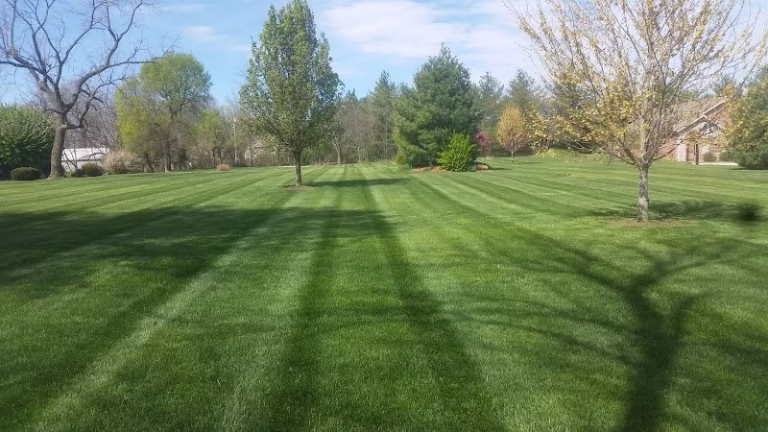 191071 bright stripes lawn care 768x432