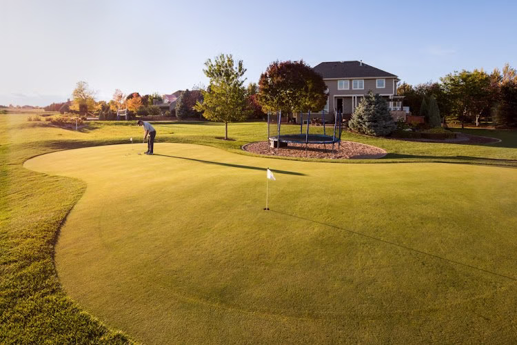 191124 lindgren landscape