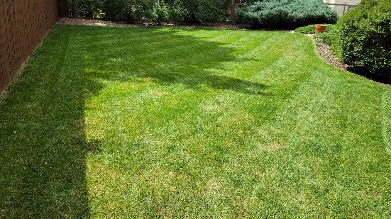 191172 the yard barber