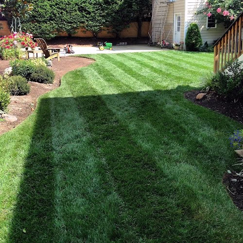 191250 rosemont landscaping and lawncare