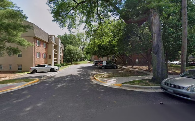 191262 tdl lawn care general maint 768x480