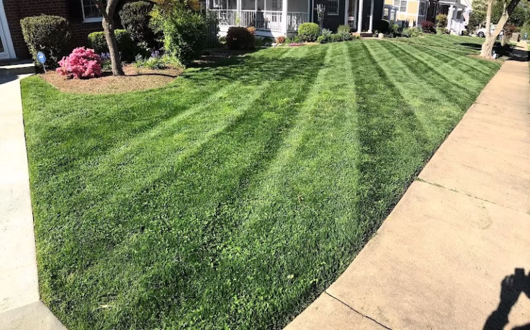 191279 limnis lawnservice 768x478