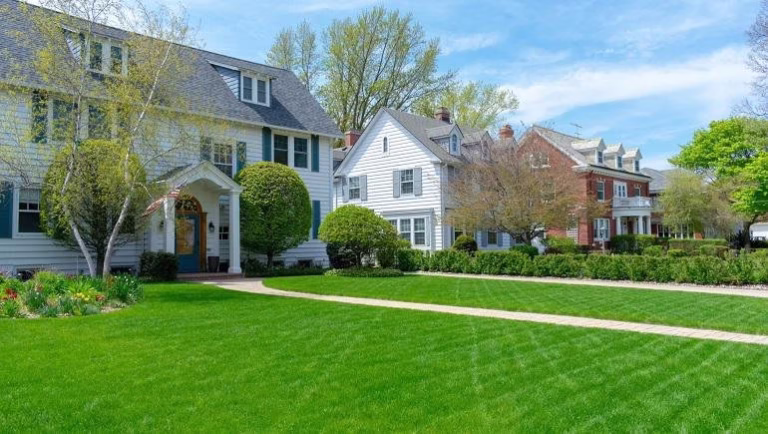 191287 ja landscaping tree fence services 768x434