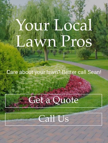 191295 seans yard service llc