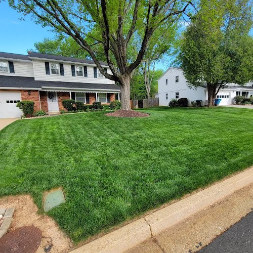 191305 lawnmate quality lawncare