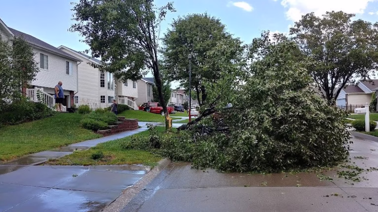 192178 britton fence co 1 768x432