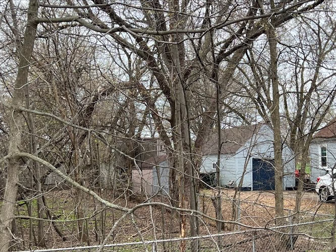 192569 autumns tree care and seasonal services