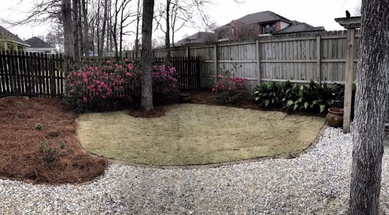 193064 daniels lawn maintenance llc 768x426