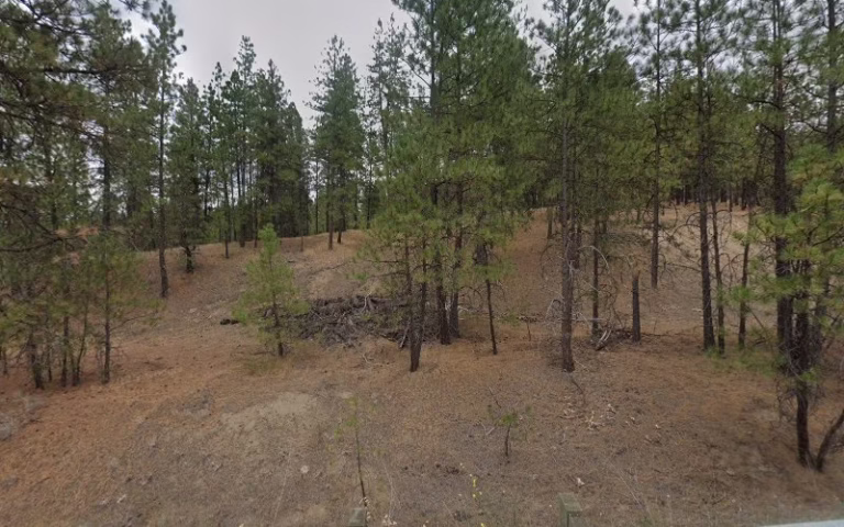 193087 3 brothers fencing 1 768x480