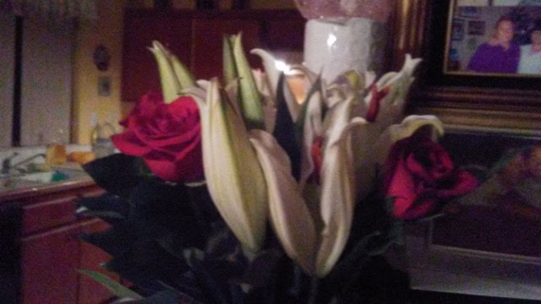 193291 tretos fence 1 768x432