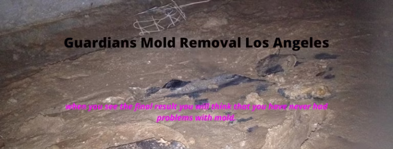 193610 guardians mold removal los angeles 768x292