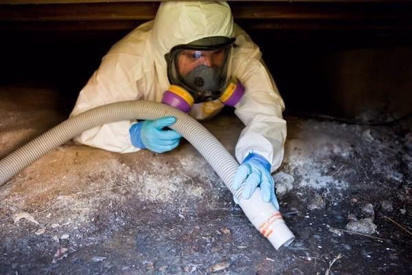 193638 los angeles water damage restoration and mold inspections