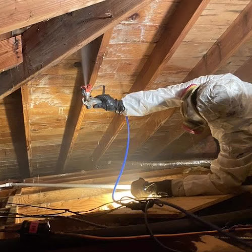 193651 mold remediation los angeles