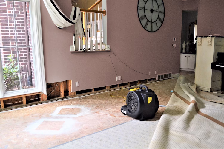 193869 ecodry water damage restoration houston