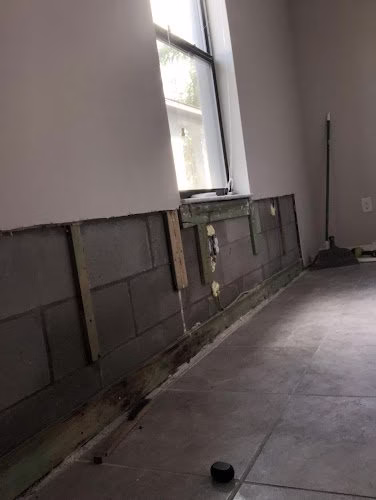 193997 the mold pros of arizona