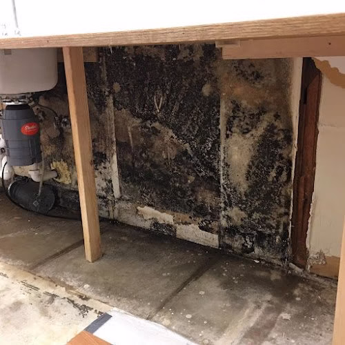 194192 mighty dry san diego