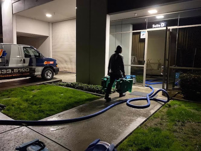 194196 smart dry restoration