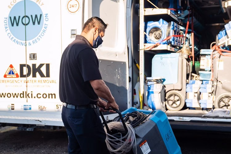 194427 wow total cleaning restoration