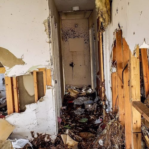 194739 asap flood fire restoration