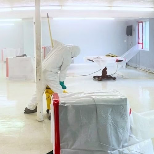 194899 shankers mold remediation